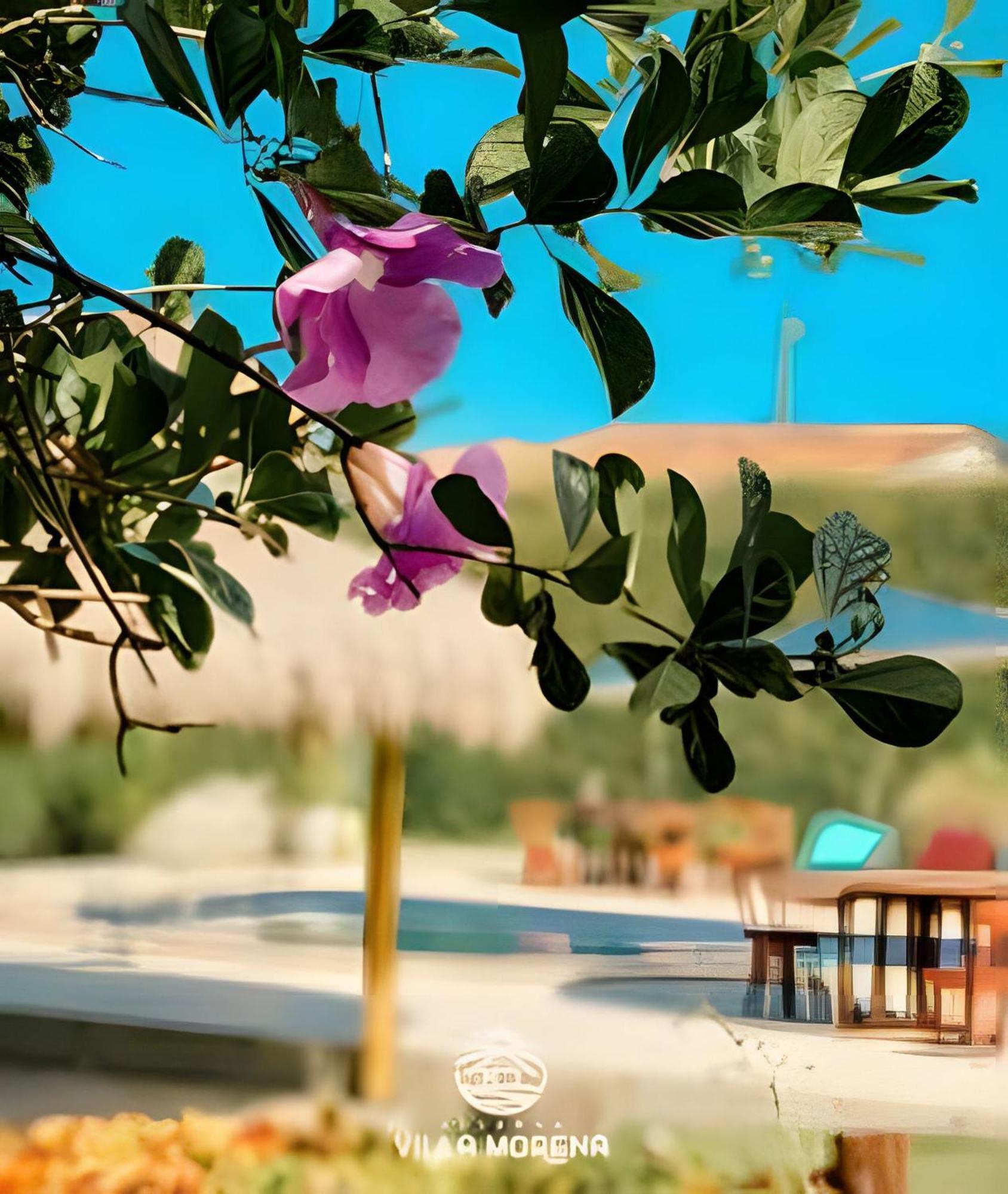 Pousada Villa Morena Porto de Pedras Ngoại thất bức ảnh